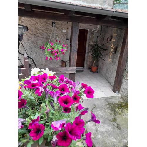 Casa vacanze Alloro