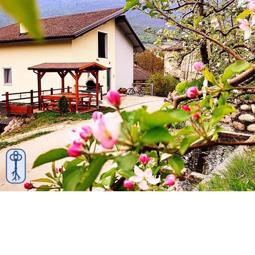 Casa Vacanze Antico Eremo, tra natura e tradizione
