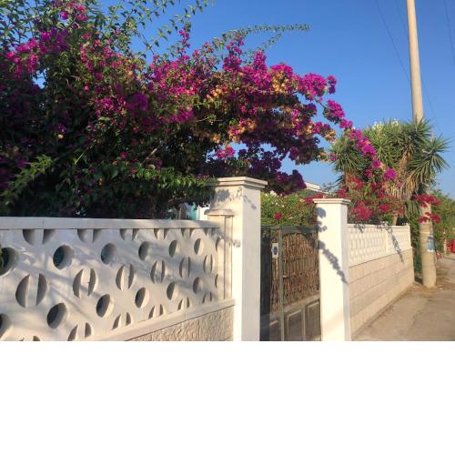 Casa vacanze “Bougainvillea”