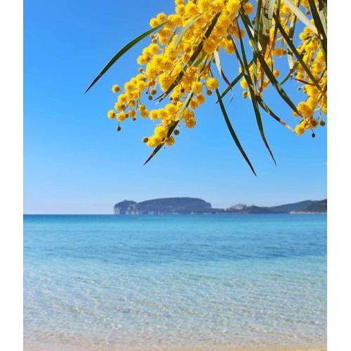 CASA VACANZE CALIK ALGHERO