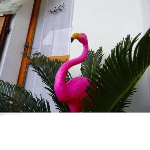 Casa vacanze Flamingo House
