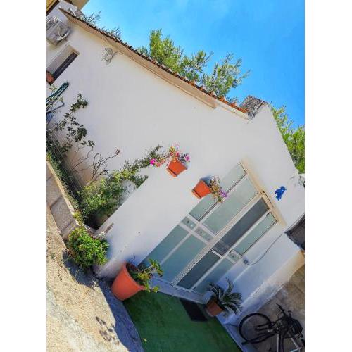 casa vacanze i due delfini
