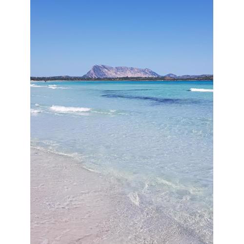 Casa Vacanze Ichnusa
