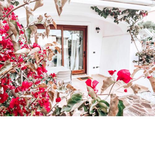 Casa vacanze Il Ciclamino