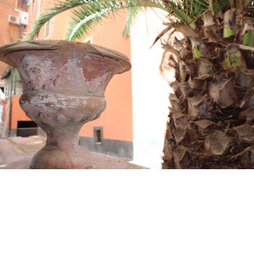 Casa vacanze il giardino