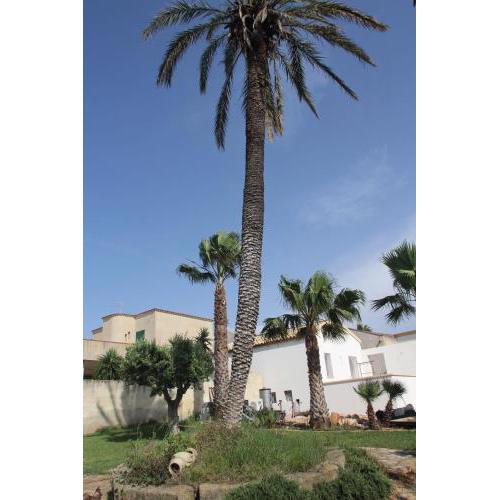 Casa vacanze Il Gurgo