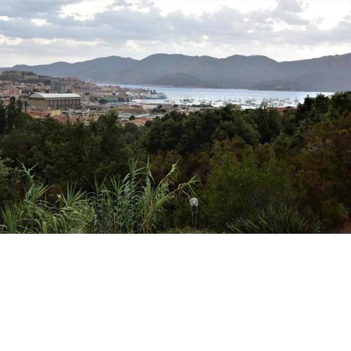 Casa vacanze il Pastore Tedesco