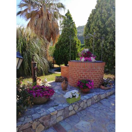 Casa Vacanze Ileana