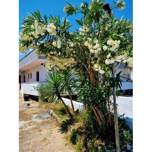 Casa vacanze in Salento