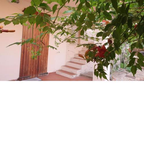 Casa vacanze Isola Rossa