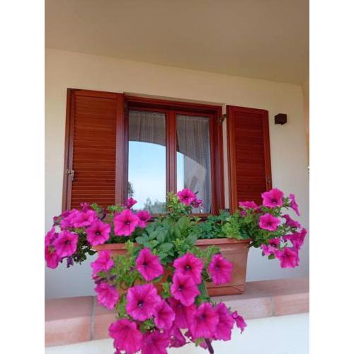 casa vacanze Lavanda