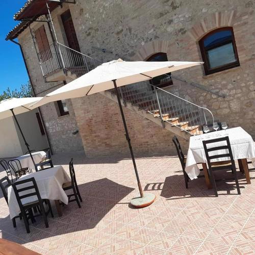 Casa vacanze “ le mimose”