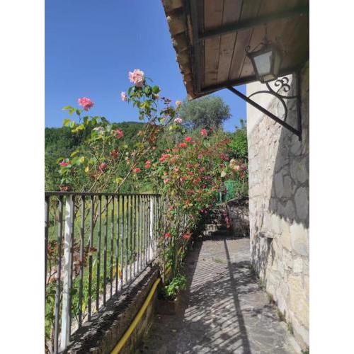 Casa Vacanze Le Vigne