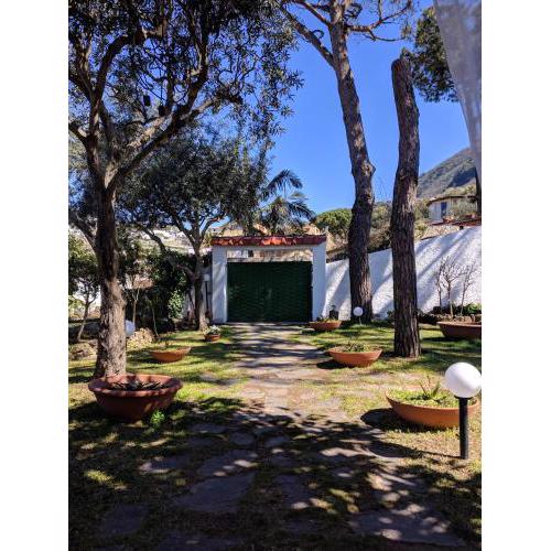casa vacanze LettoeLatte Forio d'Ischia