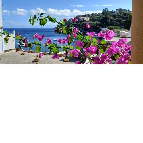 Casa vacanze Lipari