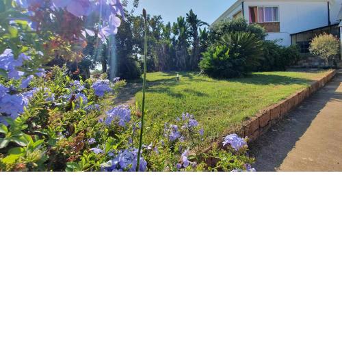Casa vacanze Rossini con giardino
