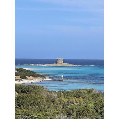 Casa vacanze Stintino vista golfo dell' Asinara con giardino - no giardino ad agosto