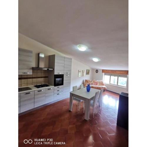 Casa vacanze Su Patthiu