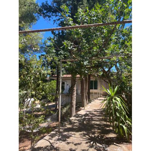 Casa vacanze : Villa sally