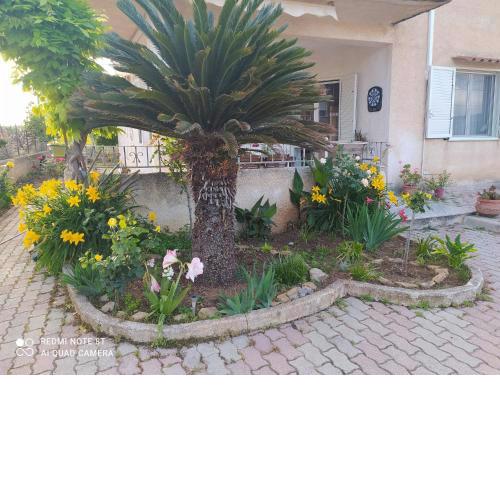 Casa Vacanze Villa Verde - Ribera