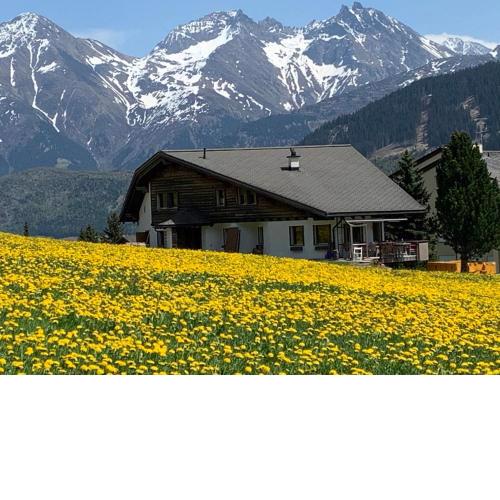 Casa Valtgeva