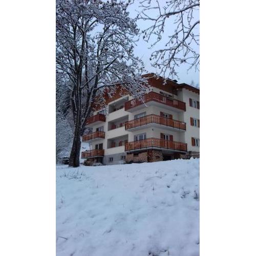 CASA VIDI