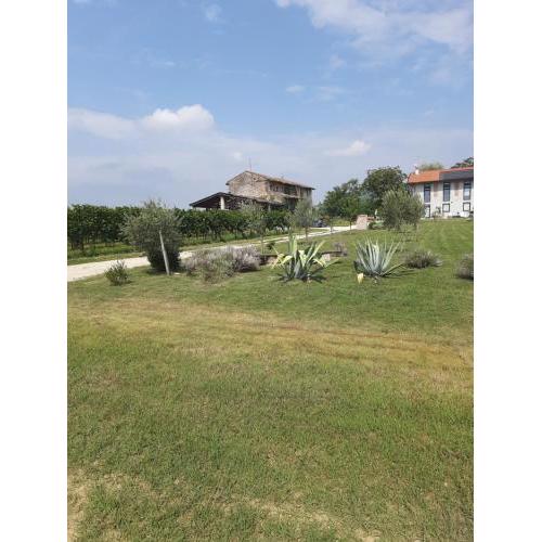 Casa Zafferano - apartment with garden