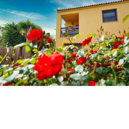 CASA ZAFFIRO
