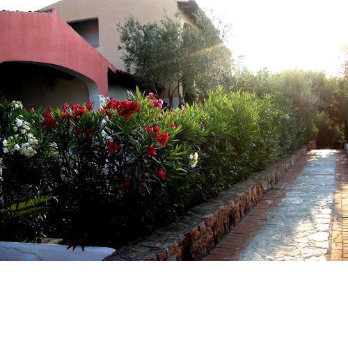 CASABELLA LIGHT 1
