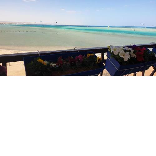 casablanca resort