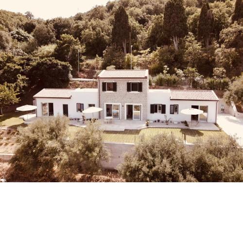 Casale 54