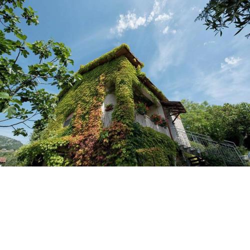 Casale Bambù - Hidden Countryhouse