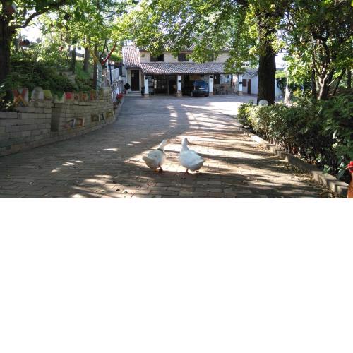 CASALE BARBAGIANNI