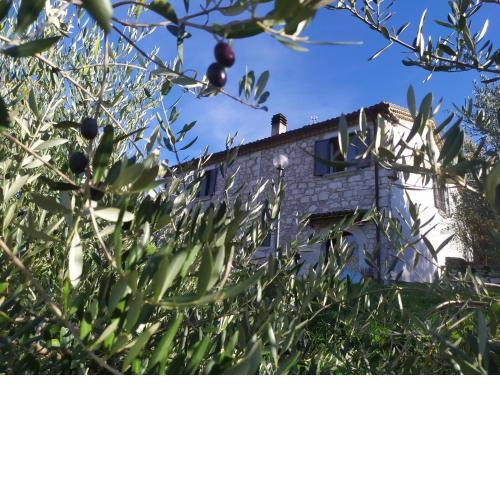 Casale Fonte Dolfa - Short rent nel bosco del Matese