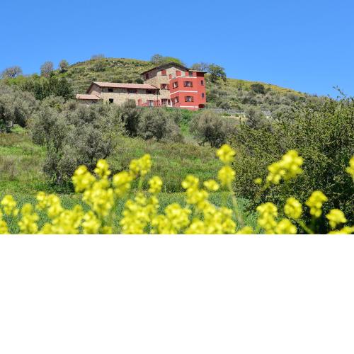 Casale il Cilento