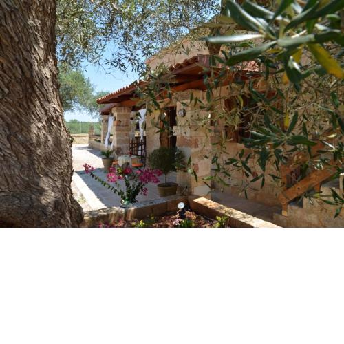 Casale Marchesi