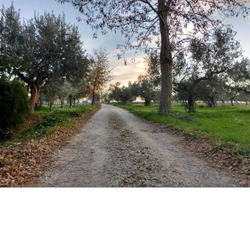 Casale Re di Coppe