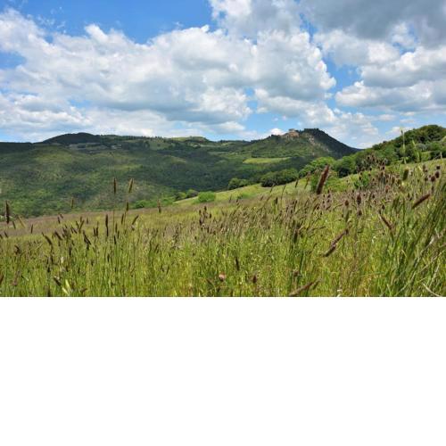 Casale SCARCETA in val d'Orcia