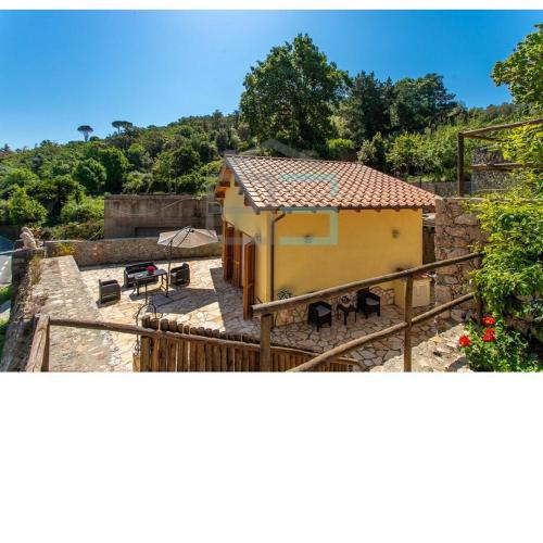 Casalino Giallo