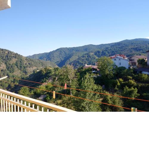CasAriella