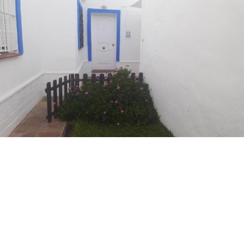 Casas Baro2