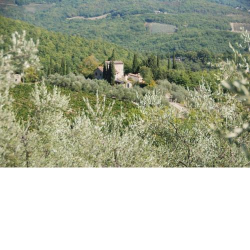 Casavecchia 8