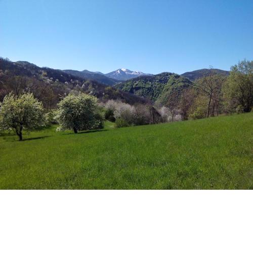 Cascina Gallo