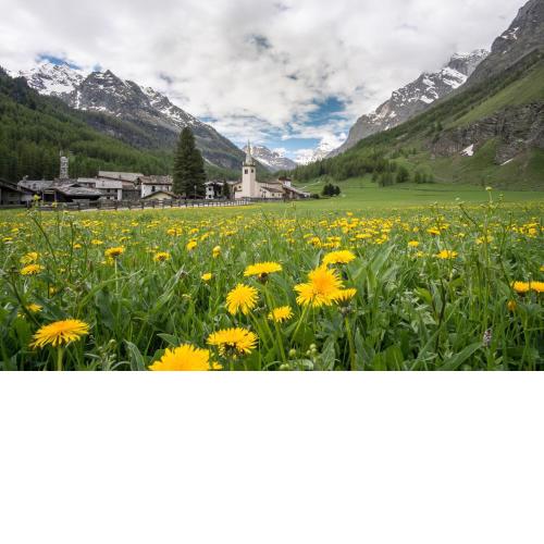 Case Gran Paradiso Rhemes Notre Dame