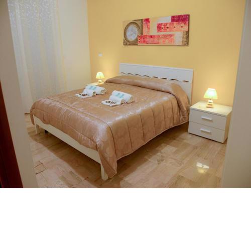 Case Saniela