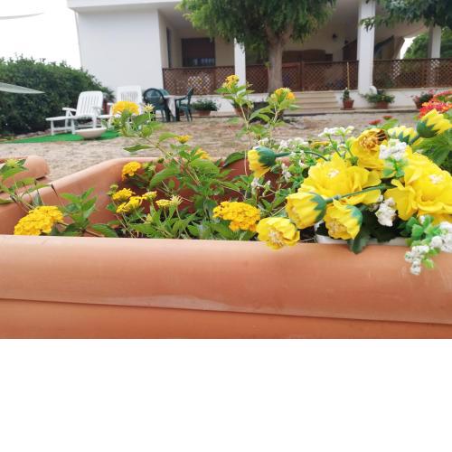 Case Vacanza Villa Bianca