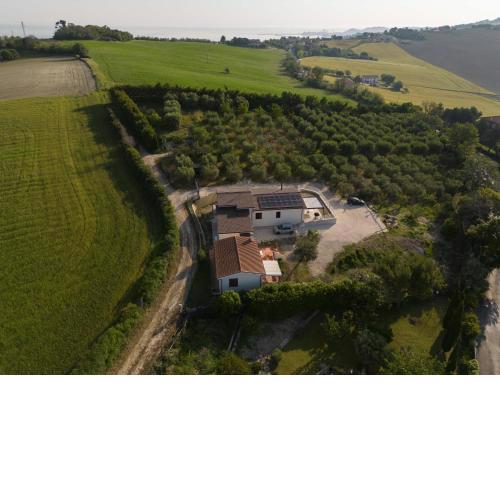 Casetta tra gli ulivi