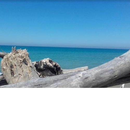 Casina al mare