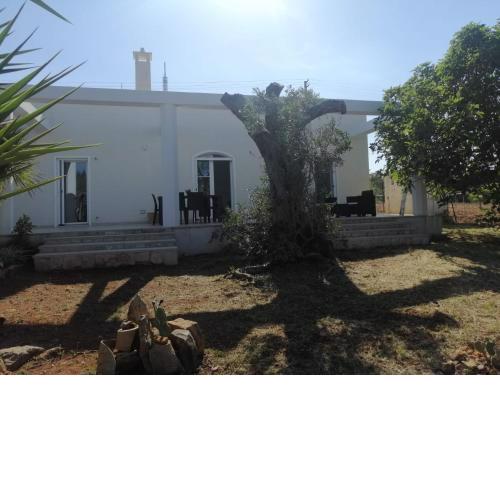 Casina Barò
