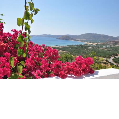 Castri Village Hotel